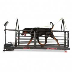 Tapis roulant per cani - Revolution Ortho Pro