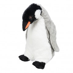 Be Eco Pinguino Erin