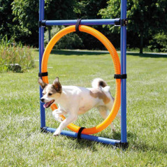 Anello Fun Agility dog Trixie