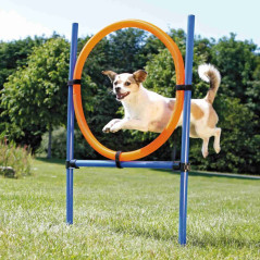 Anello Fun Agility dog Trixie