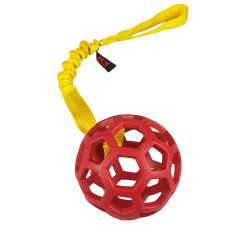 Pallone retato con longhina bungee