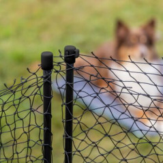 Recinto mobile per cani