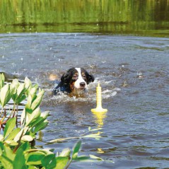 Aqua Toy MOT®-Aqua Trixie per cani