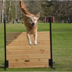 Salto chiuso per Obedience per cani